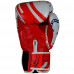 Боксерские перчатки Twins Special FBGVL4-67 Yant 12 oz
