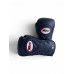 Боксерские перчатки Twins Special BGVL6 Navy/Navy 16 oz