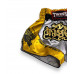 Шорты для бокса Twins Special TBS DRAGON-1 L