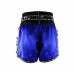 Шорты для бокса Twins Special TBS skull blue XL