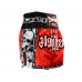 Шорты для бокса Twins Special TBS skull red S