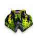 Шорты для бокса Twins Special TBS Candy green L Шорты для бокса Twins Special TBS Candy green L