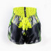 Шорты для бокса Twins Special TBS Candy green L